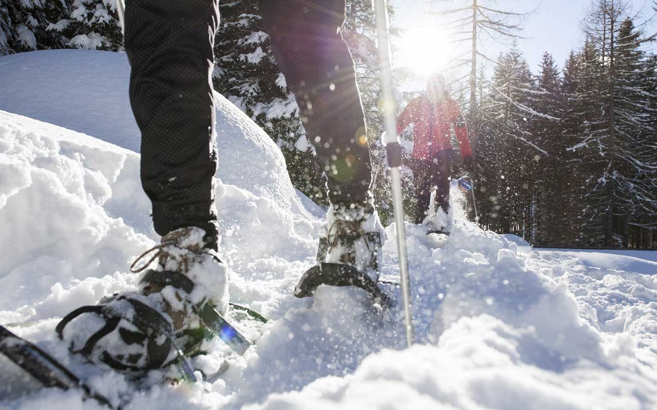 Collingwood Snowshoeing